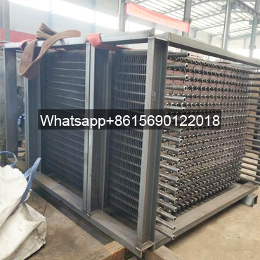 Coal-fired Biomass Boiler Economizer