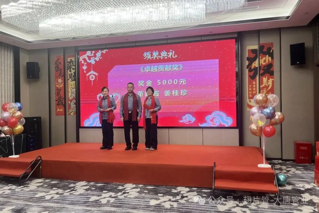 Distinguished Contribution Award – Datang Finned Tube