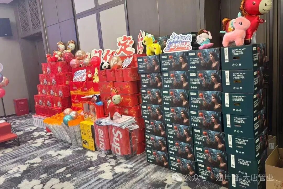 Spreading Joy and Gratitude Special New Year Rewards for the Families of Datang