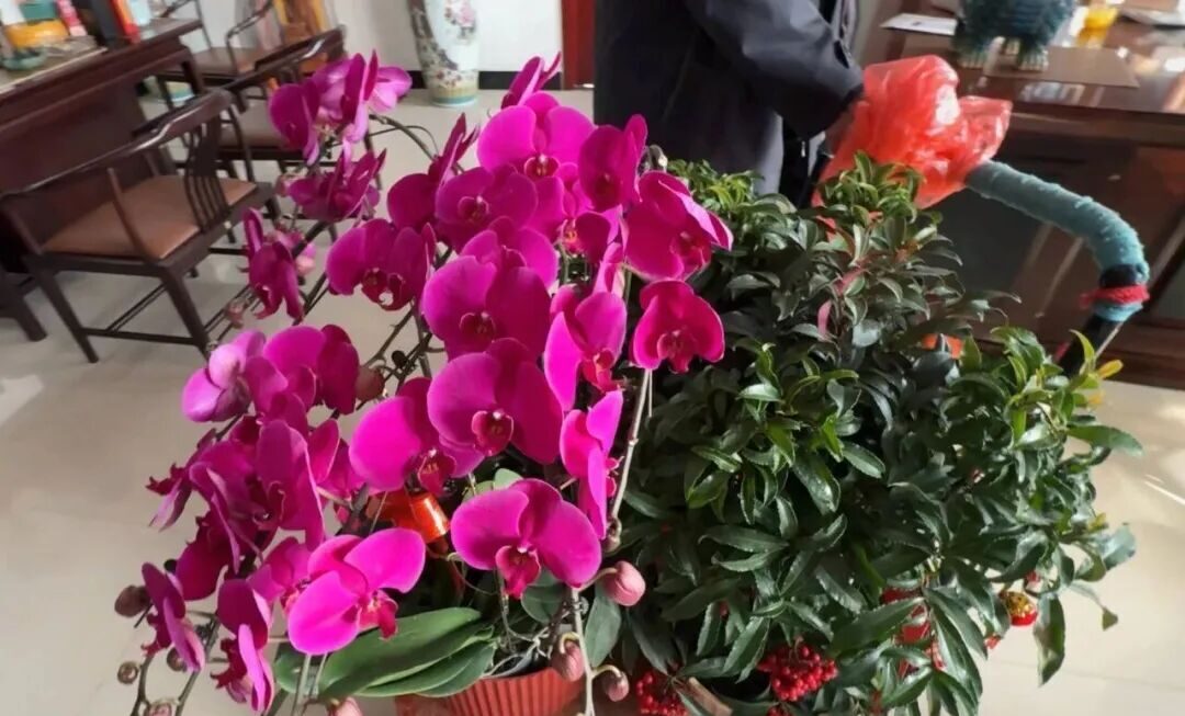 The Datang Finned Tube team is as lush and vibrant as a flower. The Datang Finned Tube team is as lush and vibrant as a flower.